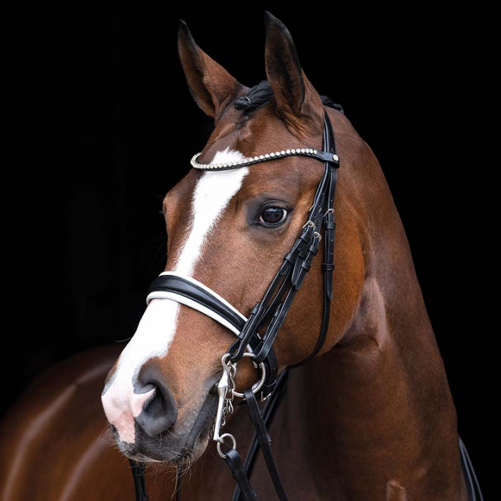 Double Bridle with Reins Dina Black in the group Horse Tack / Bridles & Browbands / Double Bridle, Weymouth & Dressage Bridles at Equinest (11475Sv_r)
