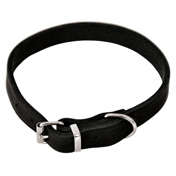 Dog Collar Lina Leather Black in the group Dog / Dog Collars & Harnesses at Equinest (122730BA)