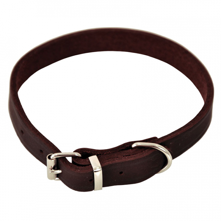 Dog Collar Lina Leather Brown in the group Dog / Dog Collars & Harnesses at Equinest (122730BR)
