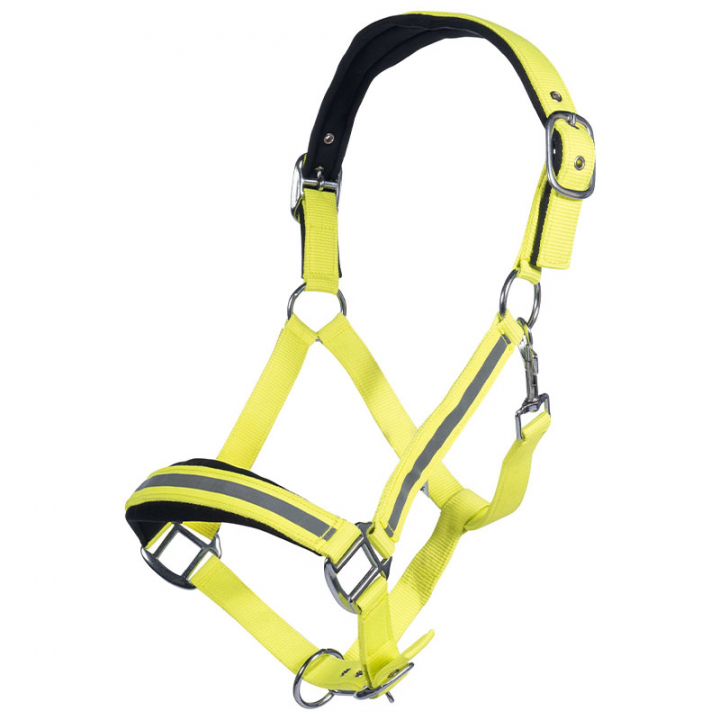 Halter Reflective Yellow/Silver in the group Riding Equipment / Reflective Equestrian Wear at Equinest (14191YE)