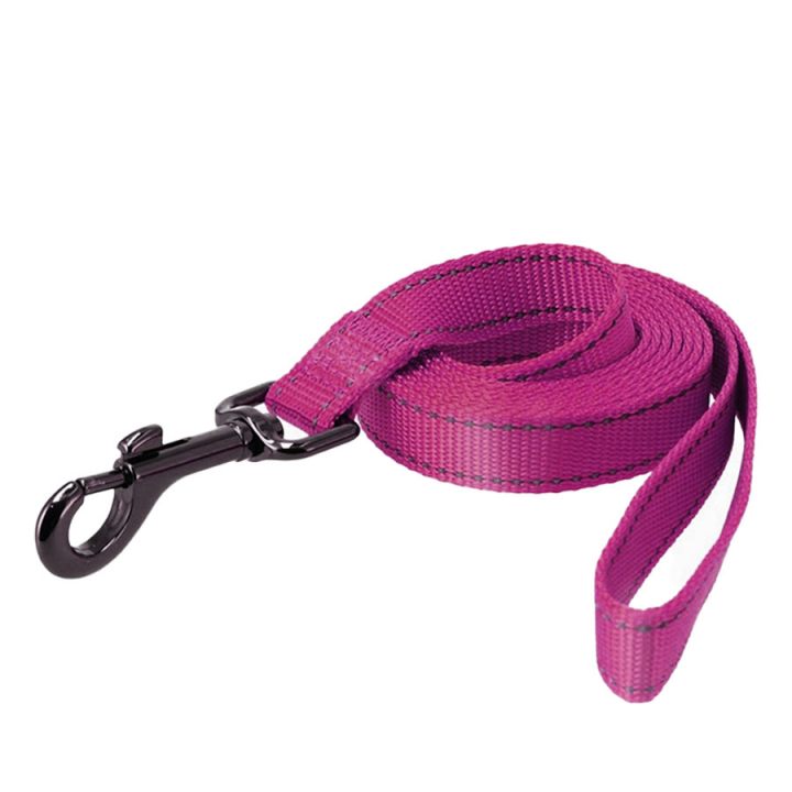 Leash Iris Nylon Pink in the group Dog / Leashes at Equinest (223116PI)