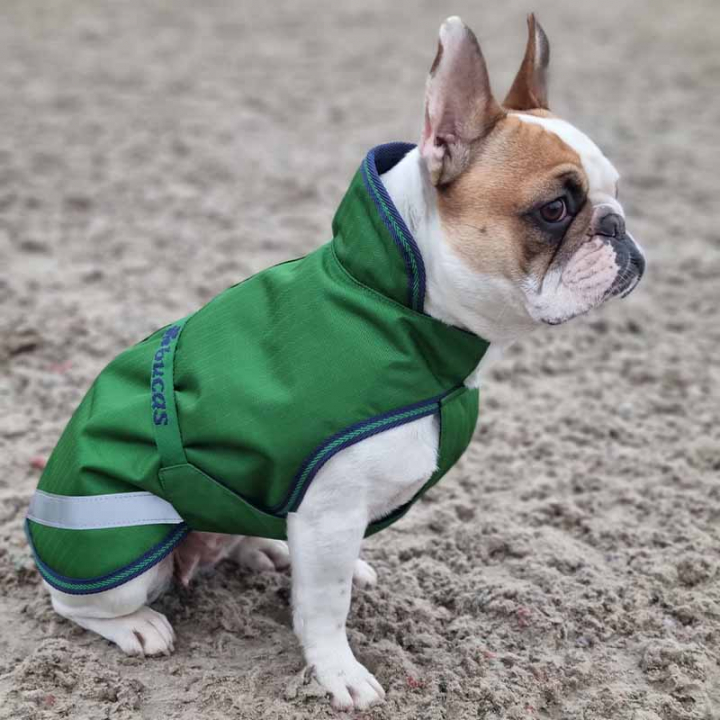 Dog Blanket Freedom 300g Green in the group Dog / Dog Coats & Dog Sweathers at Equinest (28130Ma_r)