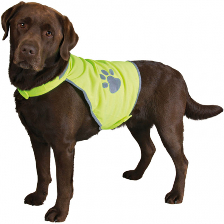 Reflective Vest for Dogs Yellow in the group Dog / Reflectors, Lights & Blinkers at Equinest (30080YE)