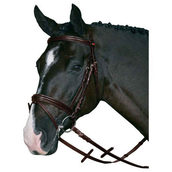 Bridle with Reins HG Brown in the group Horse Tack / Bridles & Browbands / Bridles at Equinest (31570BR)