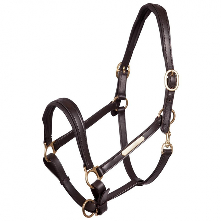 Leather Halter Padded Brown/Brass in the group Horse Tack / Halters / Leather Halters at Equinest (431108BR)