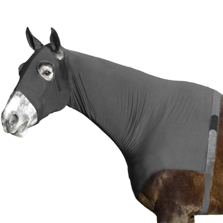 Shoulder Guard with Neck and Hood Black in the group Horse Rugs / Horse Rug Accessories / Shoulder Guards at Equinest (6224BA)
