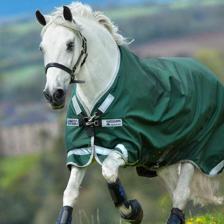 Rain Sheet Rambo Original 0g Green/Silver in the group Horse Rugs / Turnout Rugs / Rain Sheets at Equinest (AAAA05Gn_r)