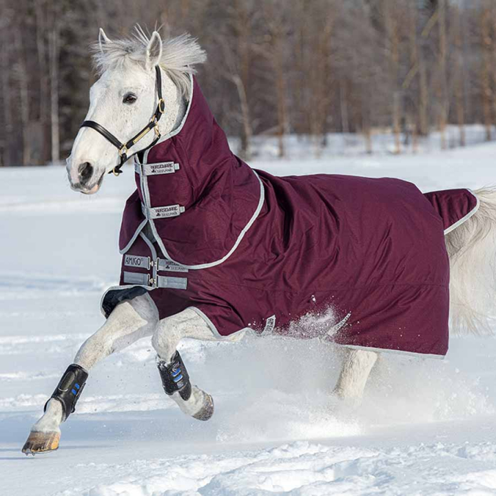 Winter Blanket Amigo Hero Ripstop Plus 200g Wine Red/Silver in the group Horse Rugs / Turnout Rugs / Winter Rugs at Equinest (AAPP93RESI)