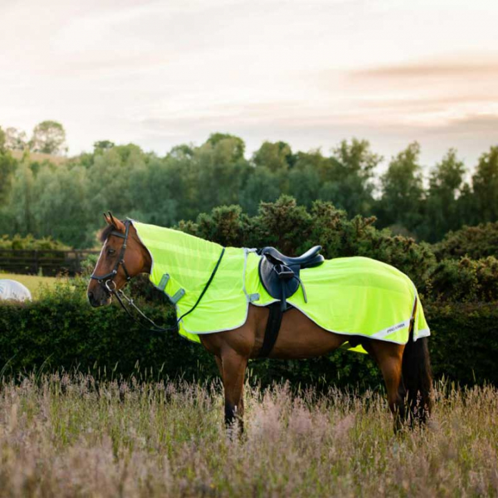 Amigo Flyrider Riding Rug Neon Yellow in the group Horse Rugs / Exercise Sheets at Equinest (AFRE10Gu_r)