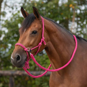 Ropehalter with Reins Pink