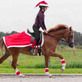 Dressage Saddle Pad Christmas Red/White