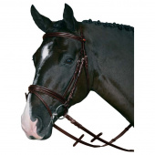 Bridle with Reins HG Brown