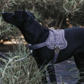 Dog Harness Wool Grey