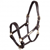 Leather Halter Padded Brown/Brass