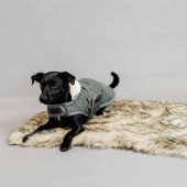 Dog Blanket Fuzzy Blanket Beige