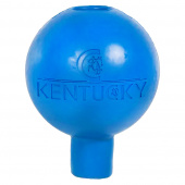 Rubber Ball Lead & Wall Protection Royal Blue