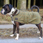 Dog Coat Tweed Green