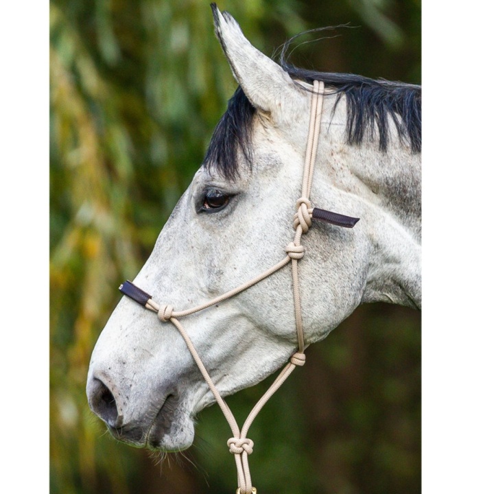 Rope Halter LCC Natural/Brown C in the group Horse Tack / Halters / Rope Halters at Equinest (0507CE86301302NABR-C)
