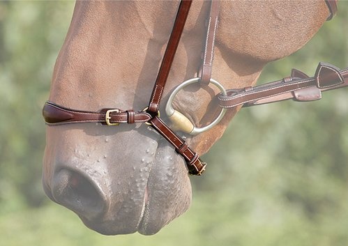Removable Noseband without Headstall Brown C in the group Horse Tack / Bridles & Browbands / Bridle Accessories at Equinest (0523B637-BR-C)