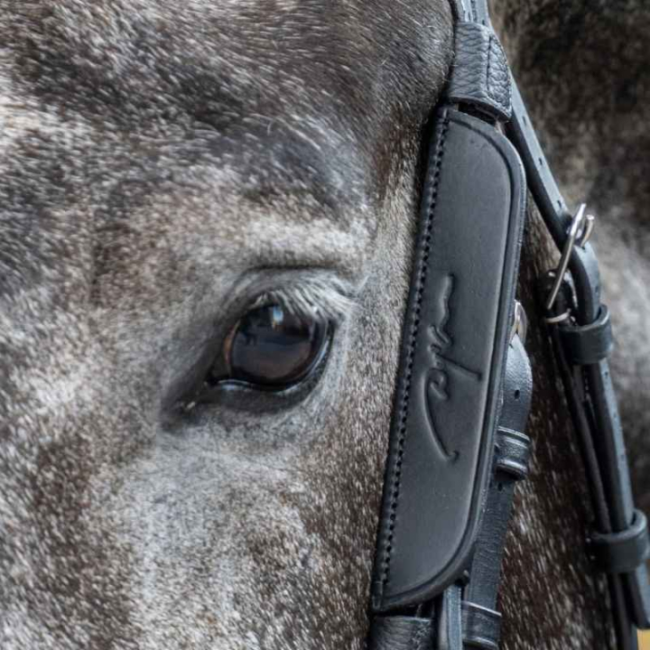 Focus / Blinkers 2 pieces Black in the group Horse Tack / Bridles & Browbands / Bridle Accessories at Equinest (0523BBL_S_r)