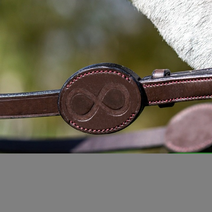 Web Reins 16mm LCC Brown C in the group Horse Tack / Reins / Webbed Reins at Equinest (0523CE26733002BR-C)