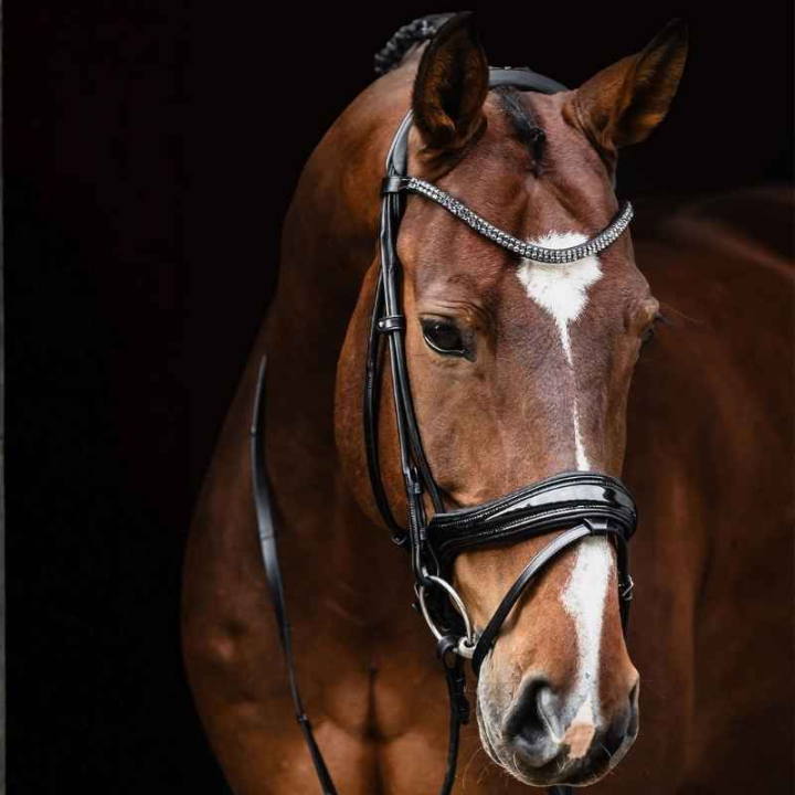 Dressage Bridle Isabell Werth Satchmo Patent Black in the group Horse Tack / Bridles & Browbands / Double Bridle, Weymouth & Dressage Bridles at Equinest (1000921BA_r)