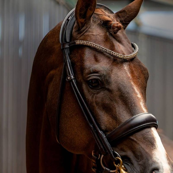 Double Bridle Isabell Werth Bella Rose Brown in the group Horse Tack / Bridles & Browbands / Double Bridle, Weymouth & Dressage Bridles at Equinest (1000937BR_r)