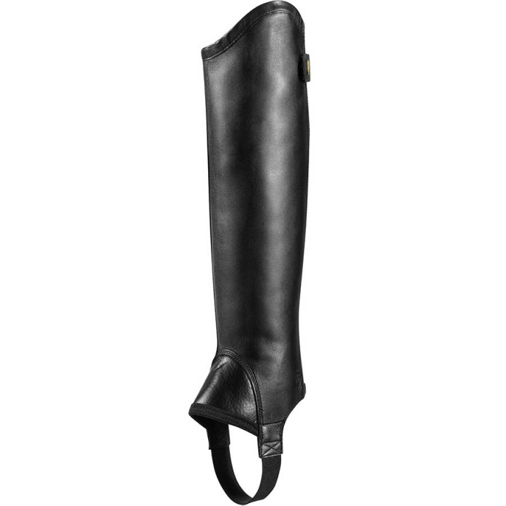 Short Chaps Concorde Black in the group Riding Footwear / Half Chaps at Equinest (10020120Sv_r)