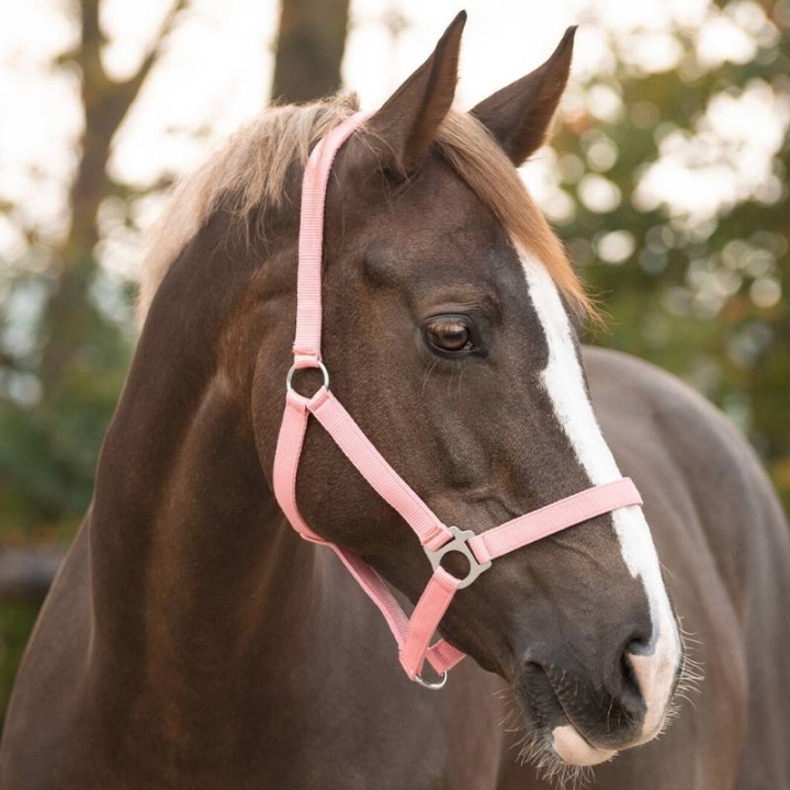 Halter Slide Light Pink in the group Horse Tack / Halters / Fabric & Nylon Halters at Equinest (1040FP1LPI_r)