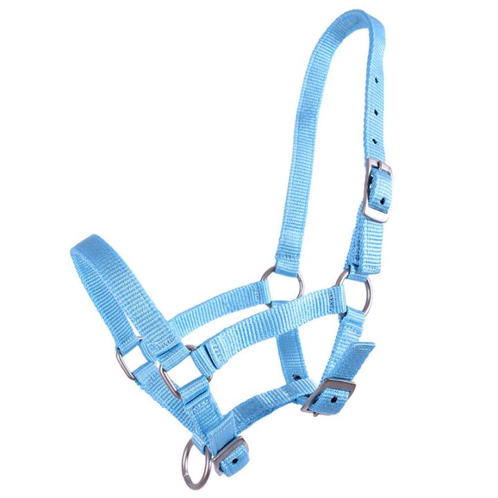 Foal Halter Adjustable Light Blue in the group Horse Tack / Halters / Foal Halters at Equinest (1047BBV1LBL_r)