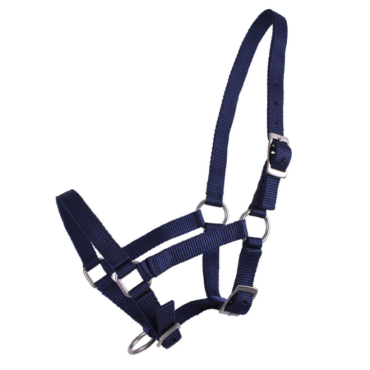 Foal Halter Adjustable Navy Blue in the group Horse Tack / Halters / Foal Halters at Equinest (1047DBV1nan_r)