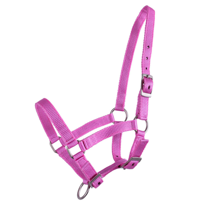 Foal Halter Adjustable Pink in the group Horse Tack / Halters / Foal Halters at Equinest (1047RZV1PI_r)