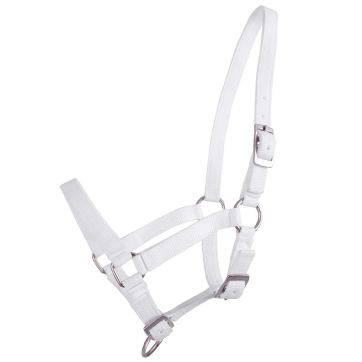 Foal Halter Adjustable White in the group Horse Tack / Halters / Foal Halters at Equinest (1047WIV1WH_r)
