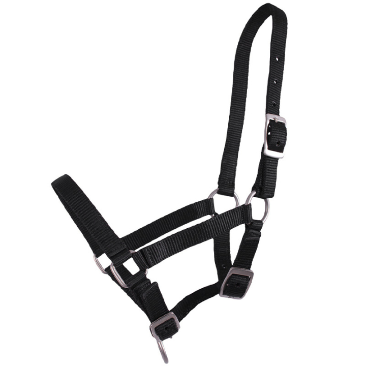 Foal Halter Adjustable Black in the group Horse Tack / Halters / Foal Halters at Equinest (1047ZWV1BA_r)