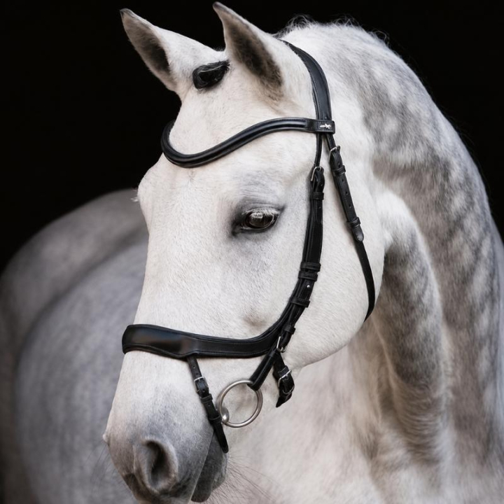 Bridle Equitus Alpha Black in the group Horse Tack / Bridles & Browbands / Bridles at Equinest (1101-00044Sv_r)
