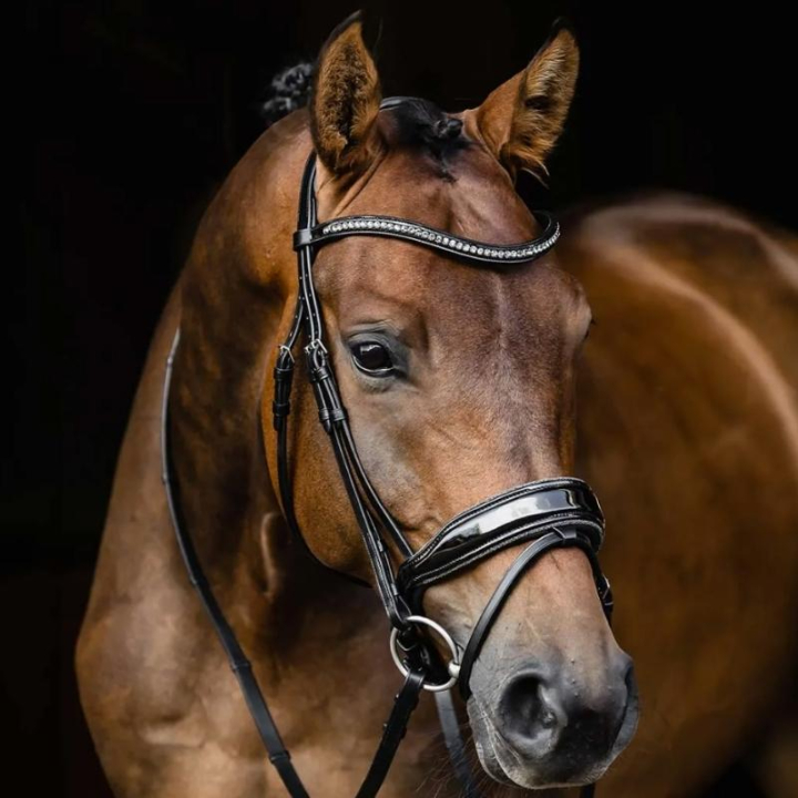 Dressage Bridle Stanford Glam Black in the group Horse Tack / Bridles & Browbands / Double Bridle, Weymouth & Dressage Bridles at Equinest (1101000681BA_r)