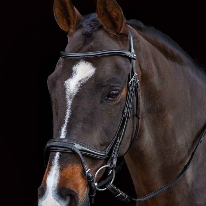 Bridle Ancona Select Black in the group Horse Tack / Bridles & Browbands / Bridles at Equinest (1101000731BA_r)