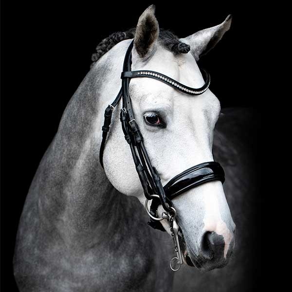 Weymouth Bridle Venice Black/Lacquer in the group Horse Tack / Bridles & Browbands / Double Bridle, Weymouth & Dressage Bridles at Equinest (1111-00009SvL_r)