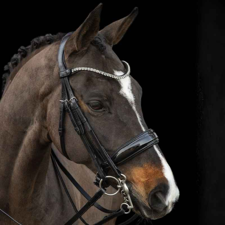 Double Bridle Milazzo Black in the group Horse Tack / Bridles & Browbands / Double Bridle, Weymouth & Dressage Bridles at Equinest (1111000161BA_r)