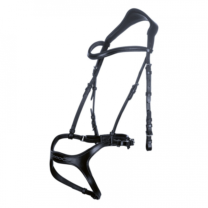 Bridle with Reins Anatomic Sport Black in the group Horse Tack / Bridles & Browbands / Bridles at Equinest (11213Sv_r)