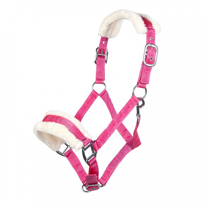 Fleece Halter Magenta in the group Horse Tack / Halters / Fabric & Nylon Halters at Equinest (11796Rs_r)