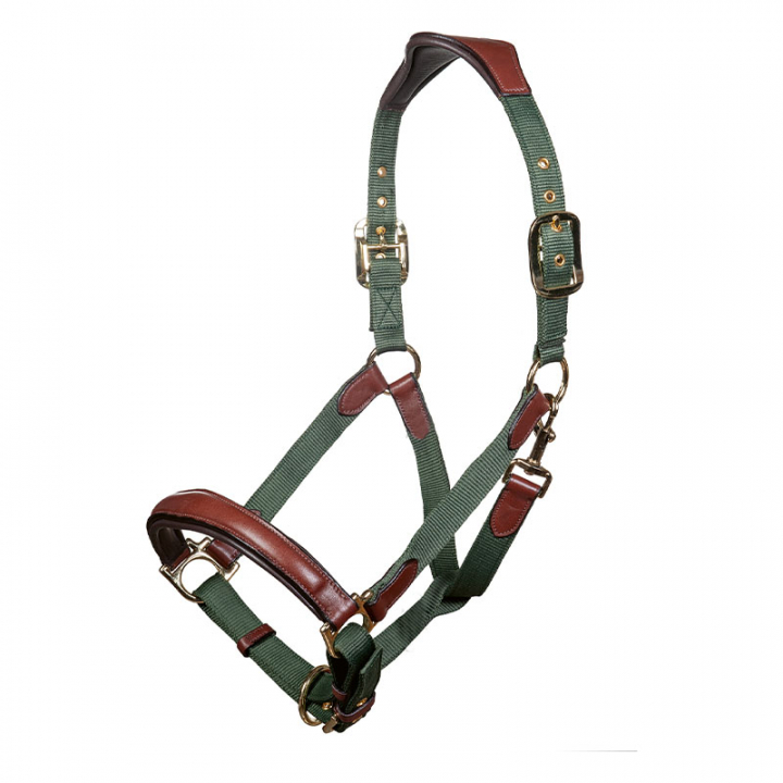 Halter Luna Green/Brown in the group Horse Tack / Halters / Fabric & Nylon Halters at Equinest (12742Gn_r)