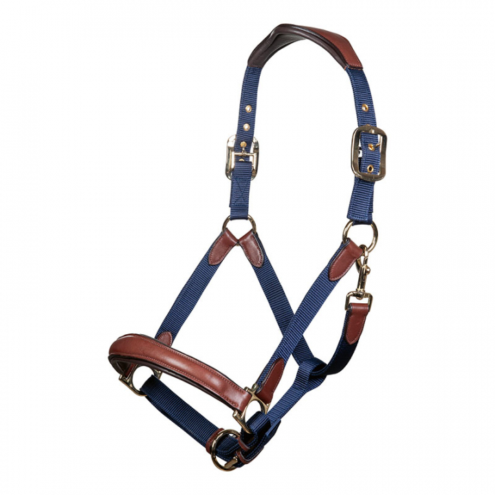 Halter Luna Navy/Brown in the group Horse Tack / Halters / Fabric & Nylon Halters at Equinest (12742Ma_r)