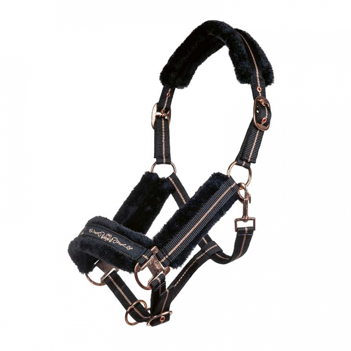 Halter Rosegold Black in the group Horse Tack / Halters / Fabric & Nylon Halters at Equinest (12929Sv_r)
