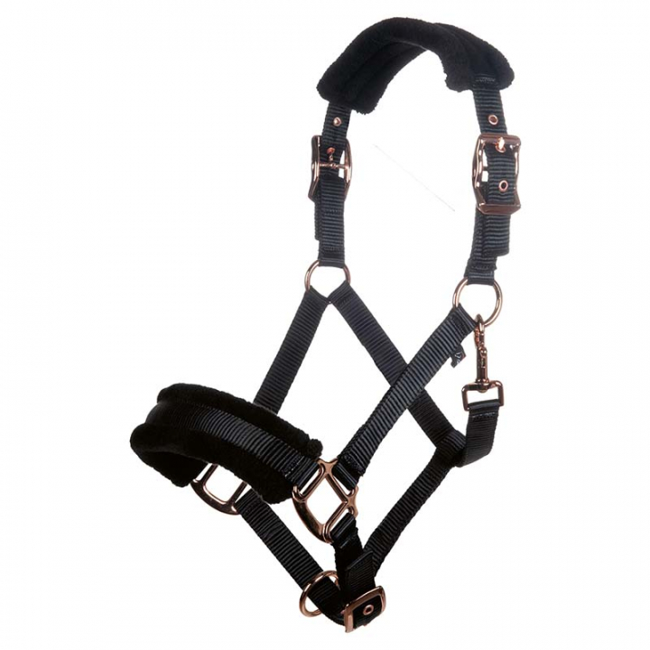 Halter Glamour Style Black/Rose Gold in the group Horse Tack / Halters / Fabric & Nylon Halters at Equinest (12959Sv_r)