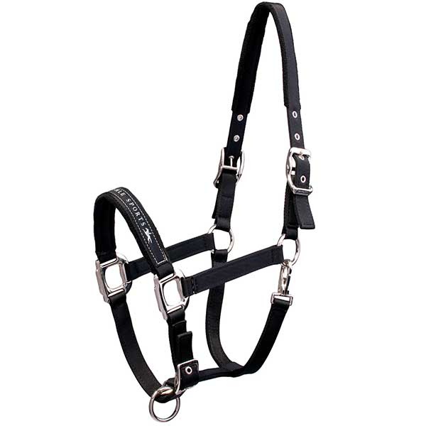 Bridle Memphis Black in the group Horse Tack / Halters / Fabric & Nylon Halters at Equinest (1311-00001Sv_r)