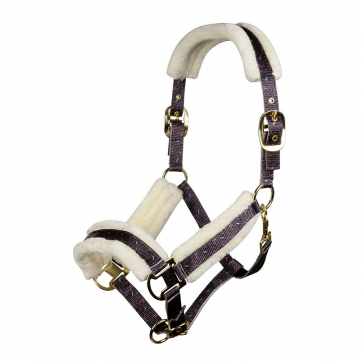 Bridle Allure Dark Brown in the group Horse Tack / Halters / Fabric & Nylon Halters at Equinest (13265Br_r)