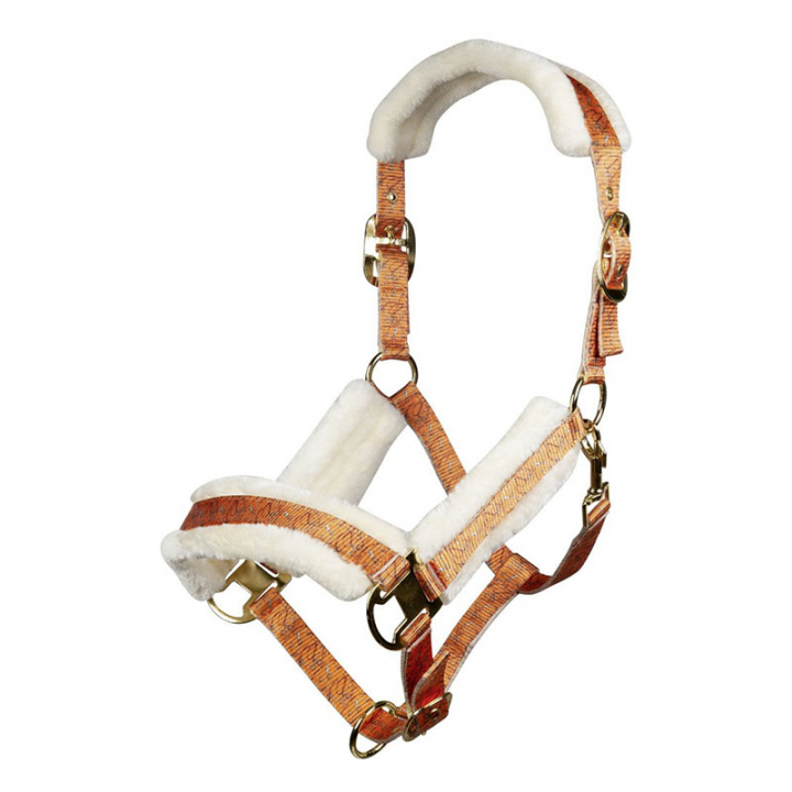 Bridle Allure Orange in the group Horse Tack / Halters / Fabric & Nylon Halters at Equinest (13265Or_r)