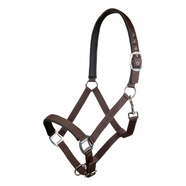 Bridle Charming Brown in the group Horse Tack / Halters / Fabric & Nylon Halters at Equinest (13429Br_r)