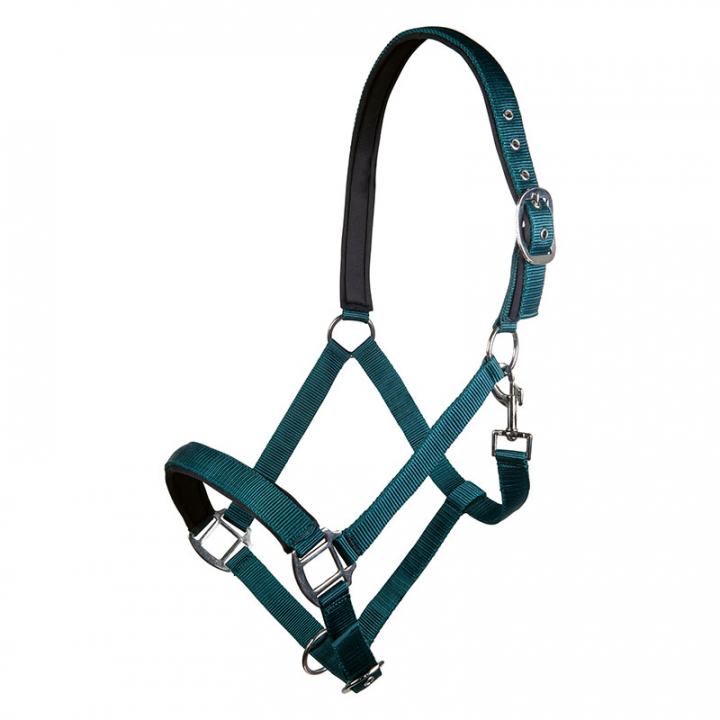 Bridle Charming Emerald Green in the group Horse Tack / Halters / Fabric & Nylon Halters at Equinest (13429Gn_r)